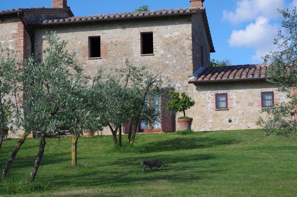 Agriturismo Cerreto Pienza Exterior photo