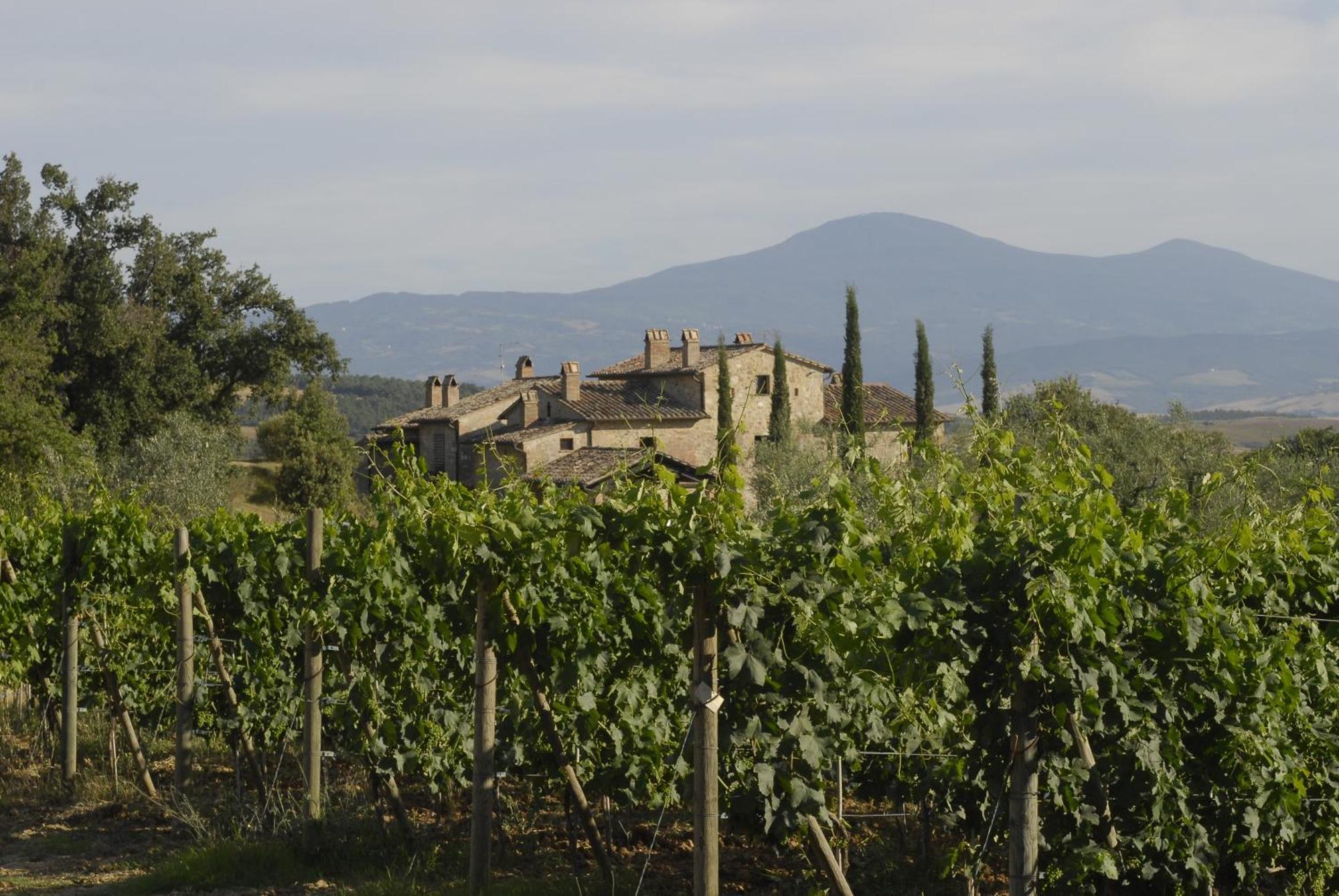 Agriturismo Cerreto Pienza Exterior photo