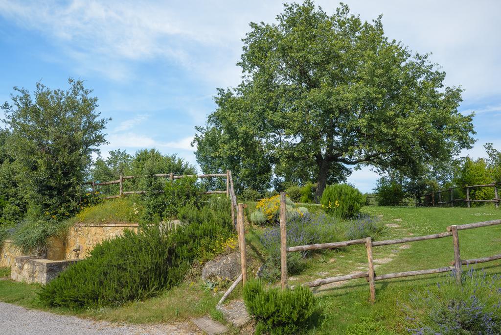 Agriturismo Cerreto Pienza Exterior photo